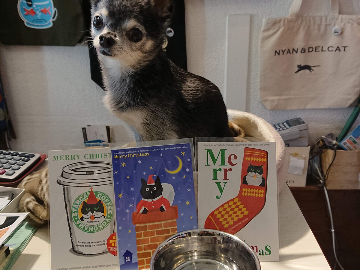北川万年堂　犬　チワワ　リン　店長