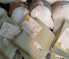 北川万年堂　ぼうねこ　ぬいぐるみ
