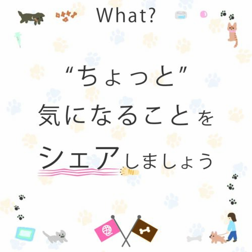 北川万年堂　犬猫サミット